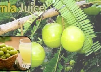 Amla Juice बनाने की आधुनिक तकनीकें सेहत और मुनाफे का राज
