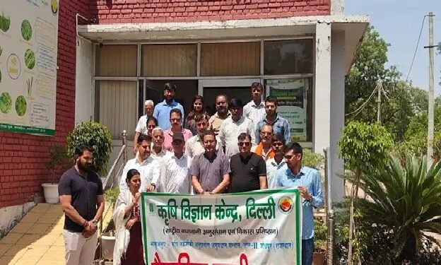 उजवा, दिल्ली में वैज्ञानिक बकरी पालन प्रशिक्षण सम्पन्न, किसानों को मिला स्वरोजगार का मार्ग
