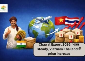 Chawal Export 2026: भारत steady, Vietnam-Thailand में price increase
