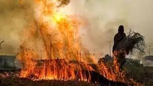 पराली जलाने के मामले बढ़े, UP और MP में ज्यादा असर