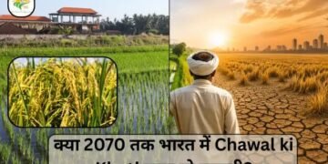 क्या 2070 तक भारत में Chawal ki Kheti खत्म हो जाएगी?