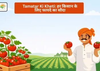 Tamatar Ki Kheti: हर किसान के लिए फायदे का सौदा