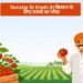 Tamatar Ki Kheti: हर किसान के लिए फायदे का सौदा