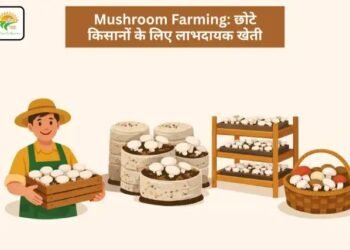 Mushroom Farming: छोटे किसानों के लिए लाभदायक खेती
