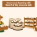 Mushroom Farming: छोटे किसानों के लिए लाभदायक खेती