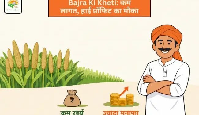 Bajra Ki Kheti: कम लागत, हाई प्रॉफिट का मौका