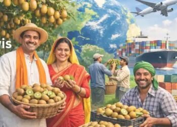 Kiwis की वैश्विक मांग और निर्यात की संभावनाएं किसानों के लिए सुनहरा अवसर