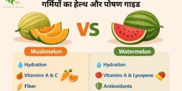 Muskmelon vs Watermelon: गर्मियों का हेल्थ और पोषण गाइड
