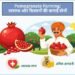 Pomegranate Farming: स्वास्थ्य और किसानों की कमाई दोनों