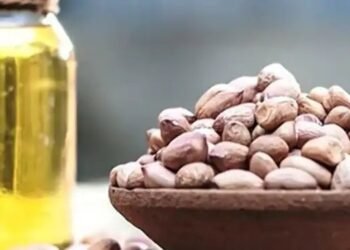 कपास छोड़ मूंगफली की ओर बढ़े किसान, 2026-27 में उत्पादन 3% बढ़ने का अनुमान
