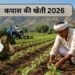 Kapas Ki Kheti 2026: Alwar में बुवाई शुरू, ज्यादा उत्पादन के लिए पूरी गाइड