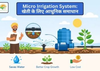 Micro Irrigation System: खेती के लिए आधुनिक समाधान