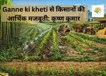 Ganne ki kheti से किसानों की आर्थिक मजबूती: कृष्ण कुमार