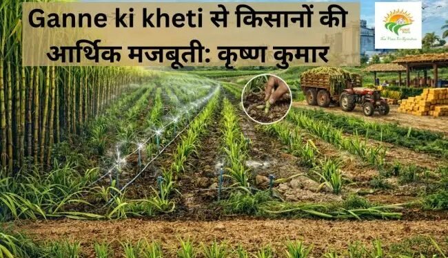 Ganne ki kheti से किसानों की आर्थिक मजबूती: कृष्ण कुमार