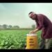 स्पॉट LNG की कीमतों में तेज़ी से बढ़ोतरी