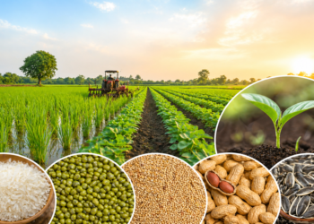 ग्रीष्मकालीन बुवाई 2026: कुल रकबे में बढ़ोतरी, चावल घटा तो दाल-तिलहन ने पकड़ी रफ्तार