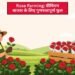 Rose Farming: प्रीमियम बाजार के लिए गुणवत्तापूर्ण फूल