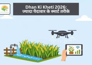 Dhan Ki Kheti 2026: ज्यादा पैदावार के स्मार्ट तरीके
