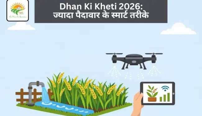 Dhan Ki Kheti 2026: ज्यादा पैदावार के स्मार्ट तरीके