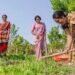 UPL ग्लोबल पर इनगवर्न: बैकवर्ड सप्लाई इंटीग्रेशन से डीमर्जर के बाद वैल्यूएशन री-रेटिंग शुरू होगी