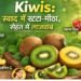 Kiwis स्वाद में खट्टा-मीठा, सेहत में लाजवाब