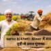 sarso ki kheti: Alwar में सरसों-तूड़ी से डबल मुनाफा