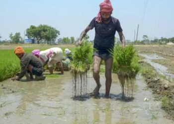 गुजरात में बेमौसम बारिश का कहर: आंधी-तूफान और ओलावृष्टि से फसलें तबाह, किसानों पर संकट गहराया
