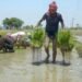 गुजरात में बेमौसम बारिश का कहर: आंधी-तूफान और ओलावृष्टि से फसलें तबाह, किसानों पर संकट गहराया