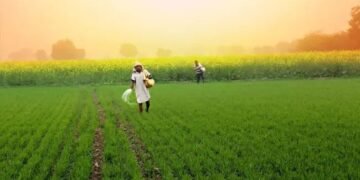 मिडिल ईस्ट जंग का असर: भारत को महंगा पड़ा यूरिया, रिकॉर्ड इंपोर्ट में दोगुनी कीमत चुकाने की नौबत