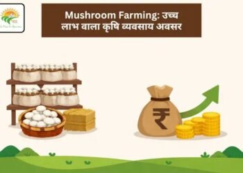 Mushroom Farming: उच्च लाभ वाला कृषि व्यवसाय अवसर