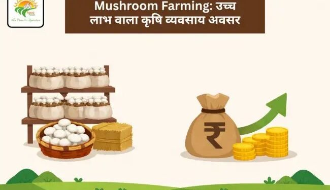 Mushroom Farming: उच्च लाभ वाला कृषि व्यवसाय अवसर