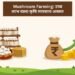 Mushroom Farming: उच्च लाभ वाला कृषि व्यवसाय अवसर