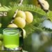 Amla Juice का ये तरीका आपको बना देगा सुपर हेल्दी