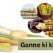 Ganne ki kheti: STP तकनीक से बढ़ेगा मुनाफा (2026 गाइड)