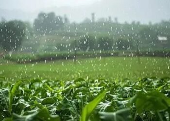झुलसाती गर्मी के बीच राहत की आस! इस बार जल्दी दस्तक दे सकता है मानसून, किसानों के लिए खुशखबरी