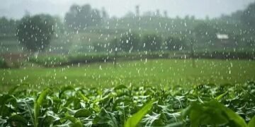 झुलसाती गर्मी के बीच राहत की आस! इस बार जल्दी दस्तक दे सकता है मानसून, किसानों के लिए खुशखबरी