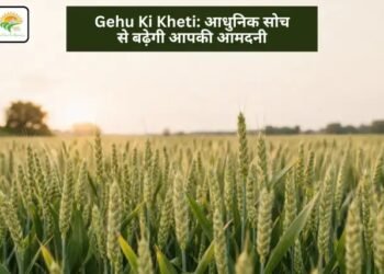 Gehu Ki Kheti: आधुनिक सोच से बढ़ेगी आपकी आमदनी