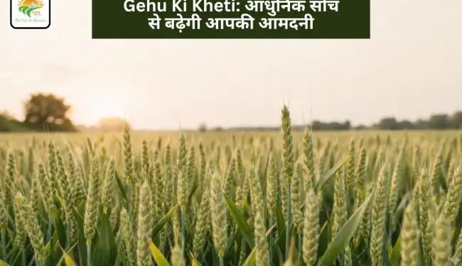 Gehu Ki Kheti: आधुनिक सोच से बढ़ेगी आपकी आमदनी