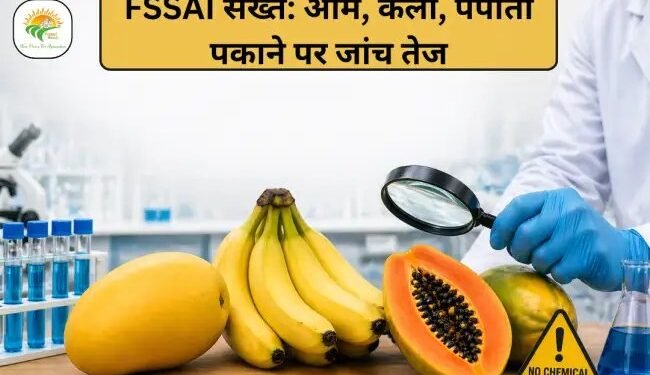 FSSAI सख्त: आम, केला, पपीता पकाने पर जांच तेज