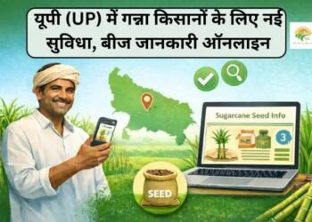 यूपी (UP) में गन्ना किसानों के लिए नई सुविधा, बीज जानकारी ऑनलाइन