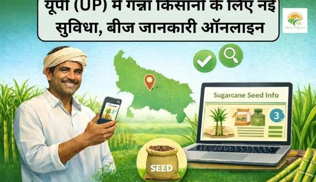 यूपी (UP) में गन्ना किसानों के लिए नई सुविधा, बीज जानकारी ऑनलाइन