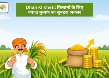 Dhan Ki Kheti: किसानों के लिए ज्यादा मुनाफे का सुनहरा अवसर