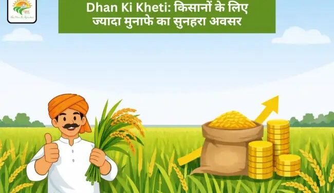 Dhan Ki Kheti: किसानों के लिए ज्यादा मुनाफे का सुनहरा अवसर