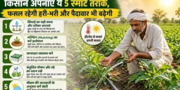 हीटवेव का अब नहीं होगा असर! किसान अपनाएं ये 5 स्मार्ट तरीके, फसल रहेगी हरी-भरी और पैदावार भी बढ़ेगी