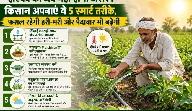 हीटवेव का अब नहीं होगा असर! किसान अपनाएं ये 5 स्मार्ट तरीके, फसल रहेगी हरी-भरी और पैदावार भी बढ़ेगी
