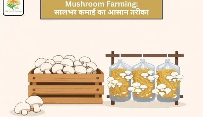 Mushroom Farming: सालभर कमाई का आसान तरीका