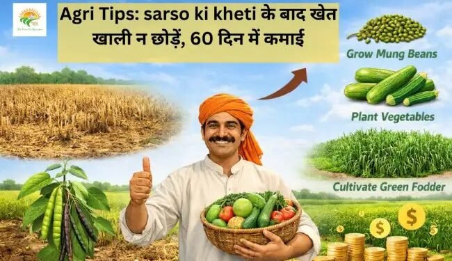 Agri Tips: sarso ki kheti के बाद खेत खाली न छोड़ें, 60 दिन में कमाई
