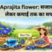 Aprajita flower: सजावट से लेकर कमाई तक का सफर