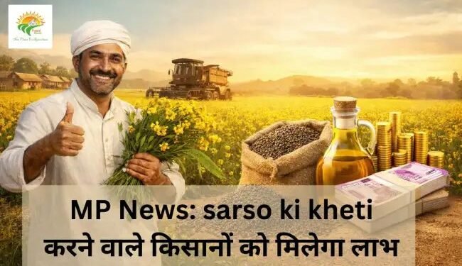 MP News: sarso ki kheti करने वाले किसानों को मिलेगा लाभ