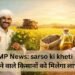 MP News: sarso ki kheti करने वाले किसानों को मिलेगा लाभ